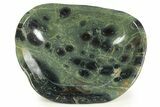 Polished Kambaba Jasper Bowl - Madagascar #338423-1